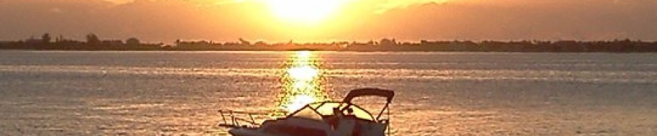 FloridaHillbilly.com - Coastal Florida urban homesteading, Hillbilly style..