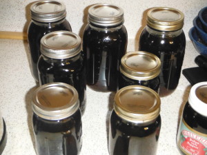 Hickory Bark Syrup