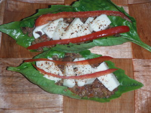 Mammoth Basil Wraps