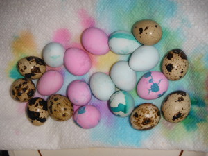 Easter Quail Eggs