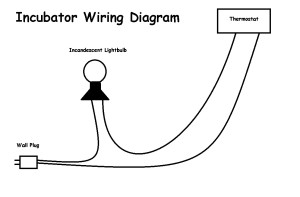 Incubator Wiring Diagram