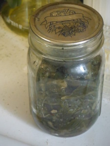 Home Canned Collard Greens