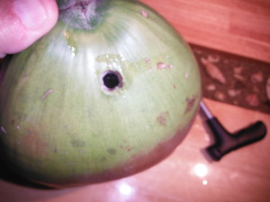 A green coconut with a hole to access the water