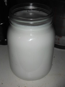 One pint of home made coconut milk