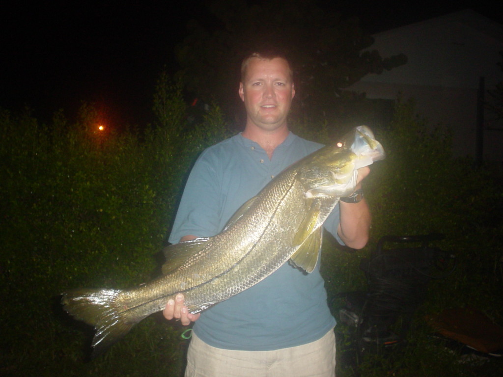 a nice snook