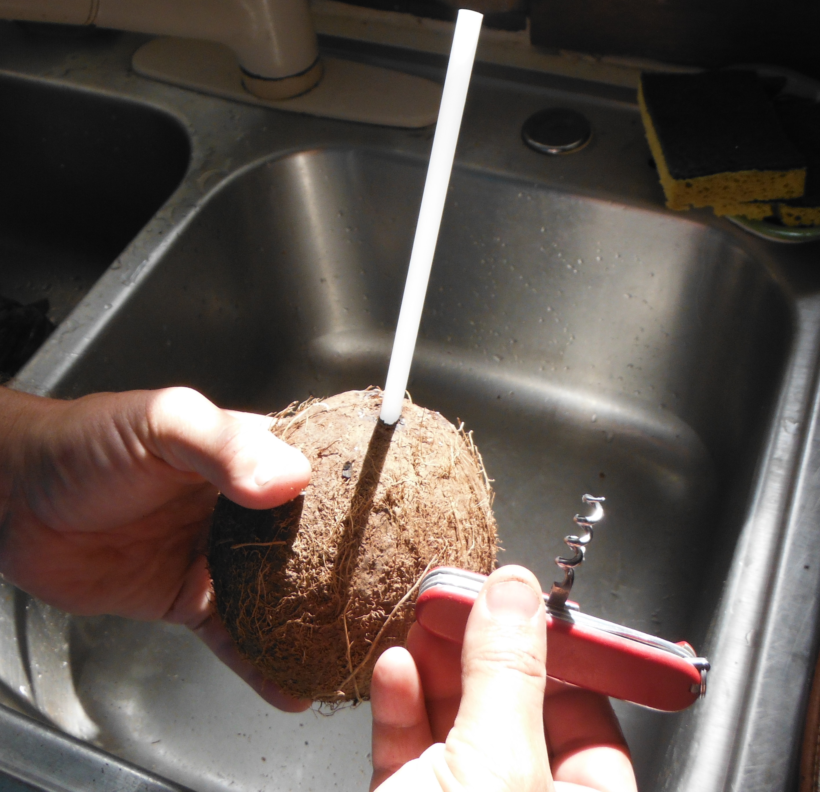 Coconut and a straw