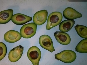 preserving avocados