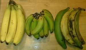 BANANAS, bananas, and plantains