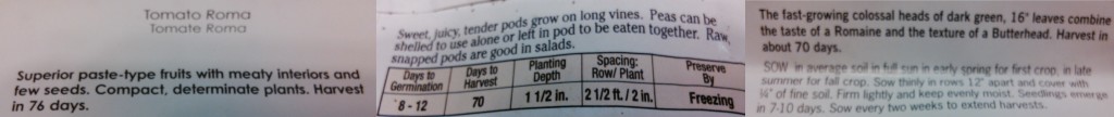 seed packets